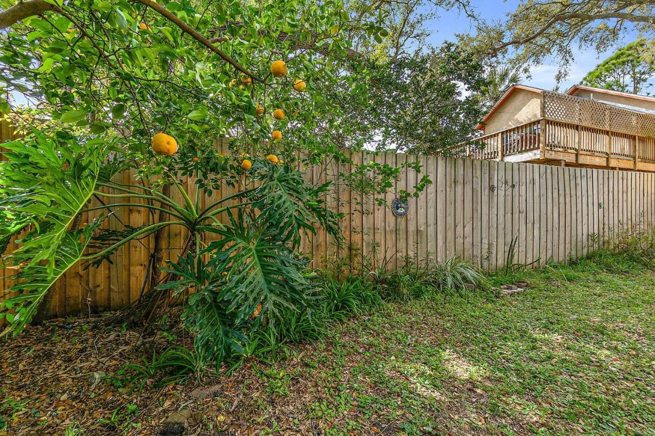 Orange Oasis - Walk To Historic District Saint Augustine Exterior foto